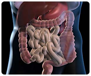 5 reasons your digestive system is not working properly