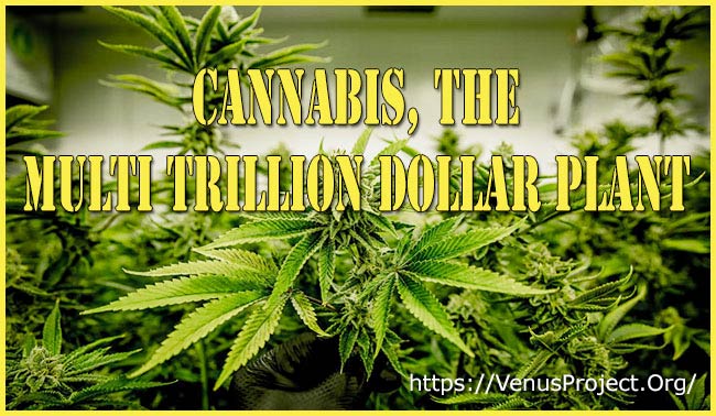 Cannabis - The Multi Trillion Dollar Plant