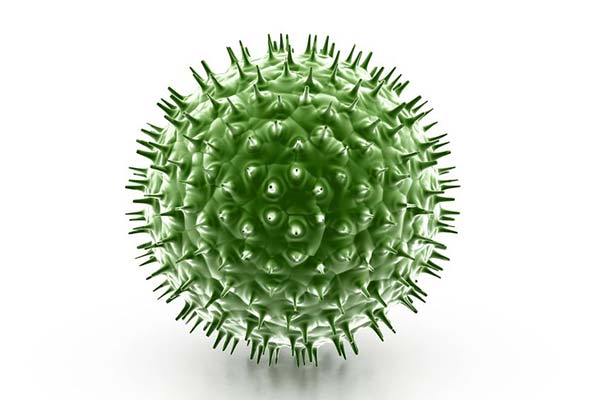 Why We May Need Viruses More Than Vaccines