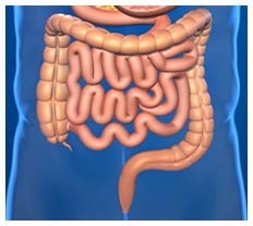 How microbes in the gut influence anxiety, depression
