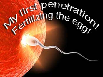 My first penetration, fertilizing the egg!